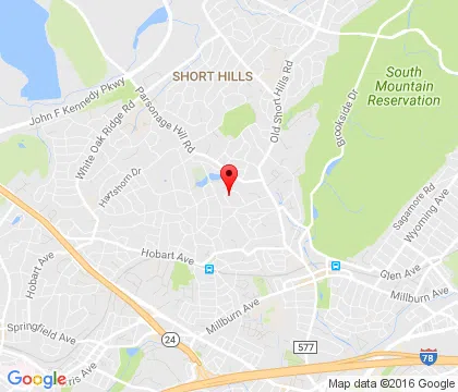 logo-image - Millburn-NJ